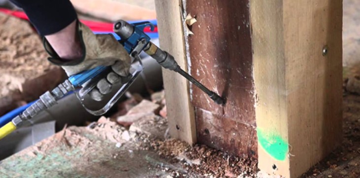 Are Termites Hard To Get Rid Of in Perth- Know The Important Reasons